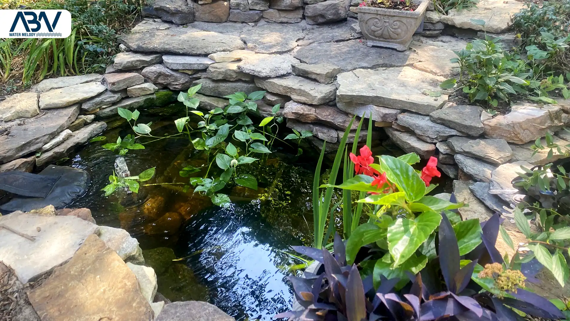 انواع برکه آماده