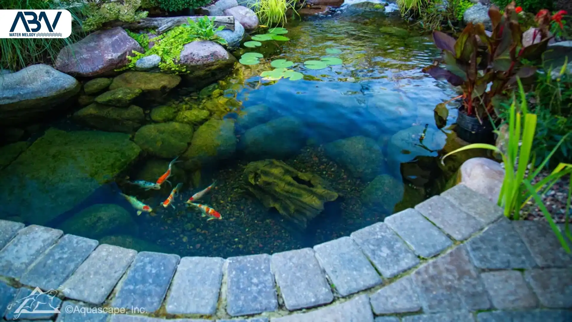 طریقه ساخت برکه آماده