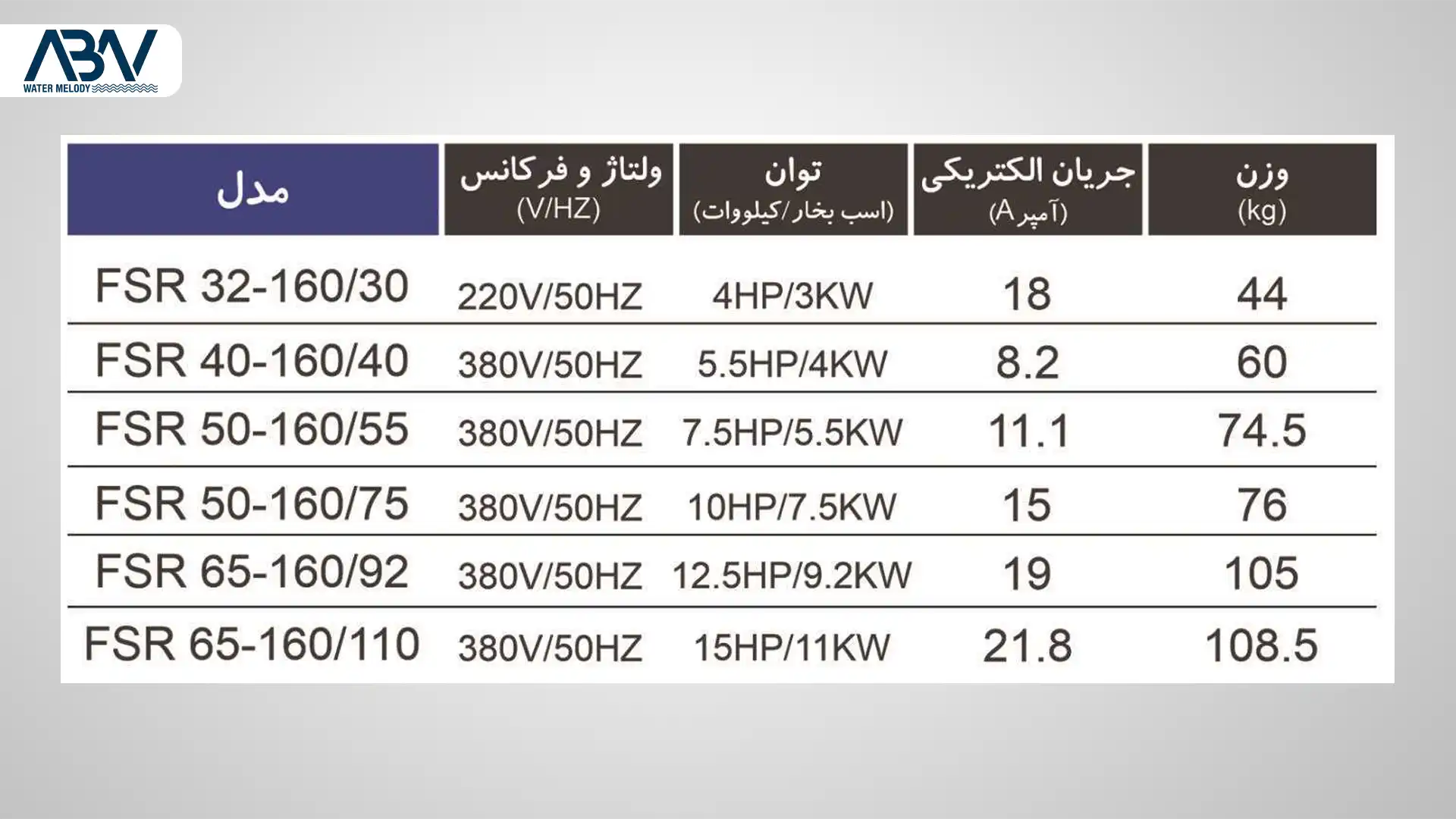 2 جت پمپ جکوزی کالمو سری FSR